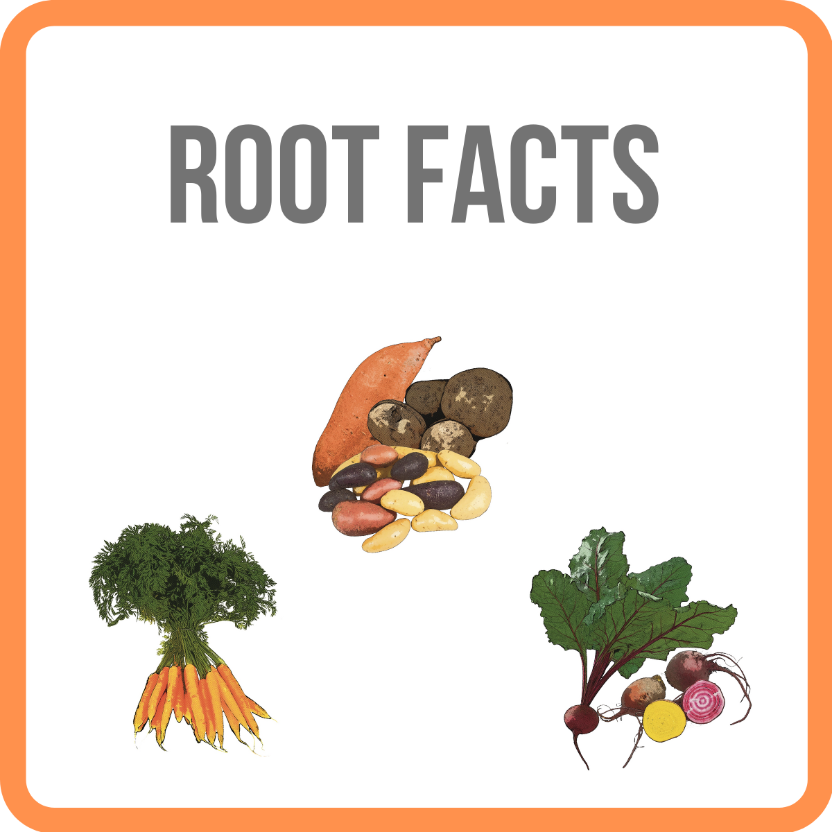 root facts