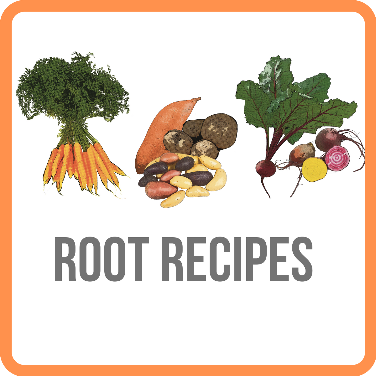 ROOT RECIPES