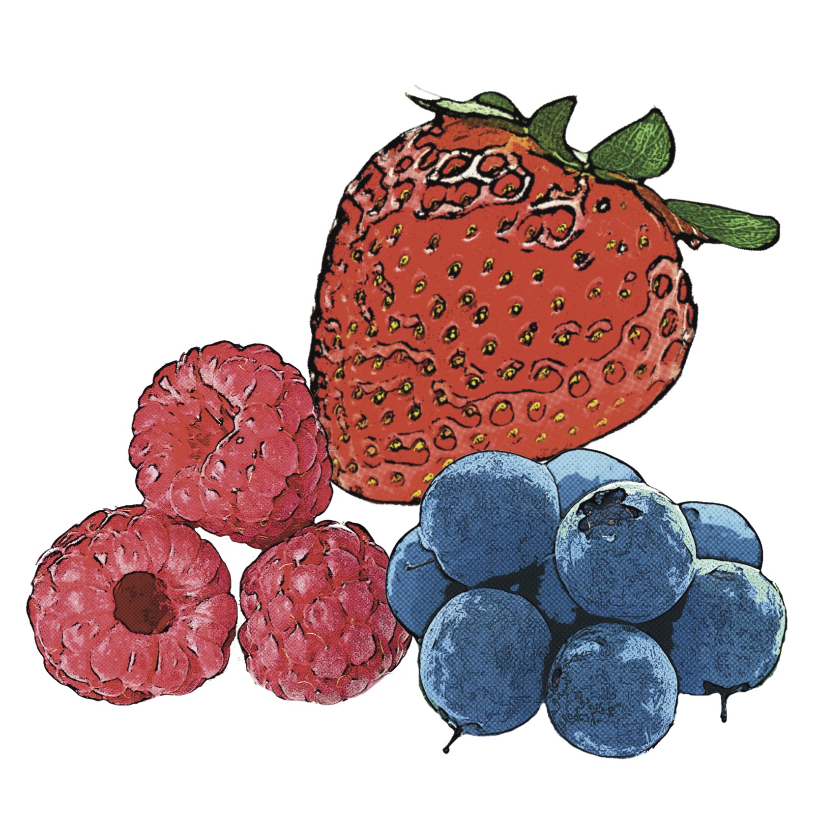 strawberries, blueberries, raspberries