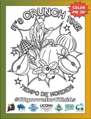 Crunch Booklet 2022