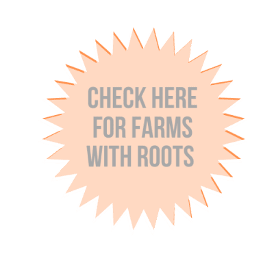 Check Farmer with Roots Webpage Tile